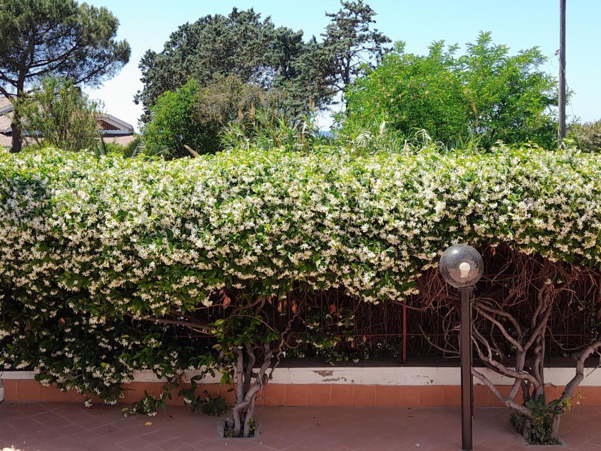 Guest House Al Mare Civitavecchia Exterior photo