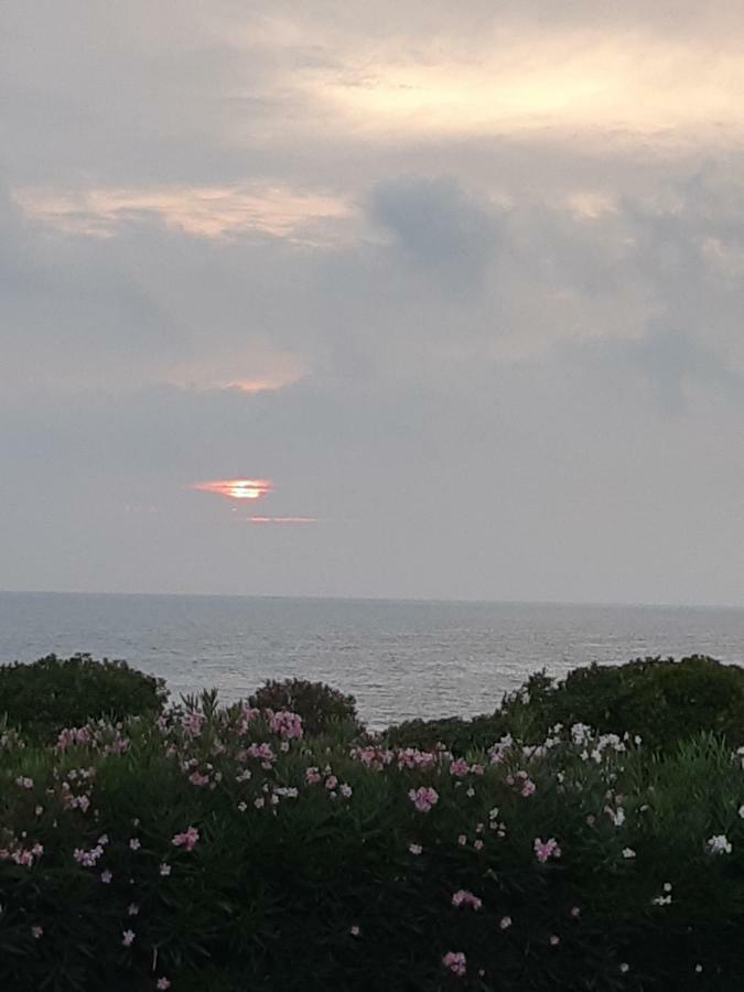 Guest House Al Mare Civitavecchia Exterior photo